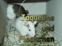 Jaqueline und Fleckchen